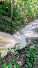 Load image into Gallery viewer, In Person Akashic Reading in Niagara Area by the Water