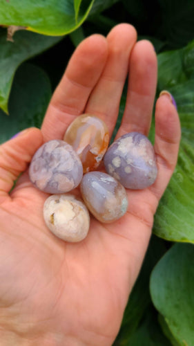 Lovely Tumbled Blossom Agate to help erase fear.🌼