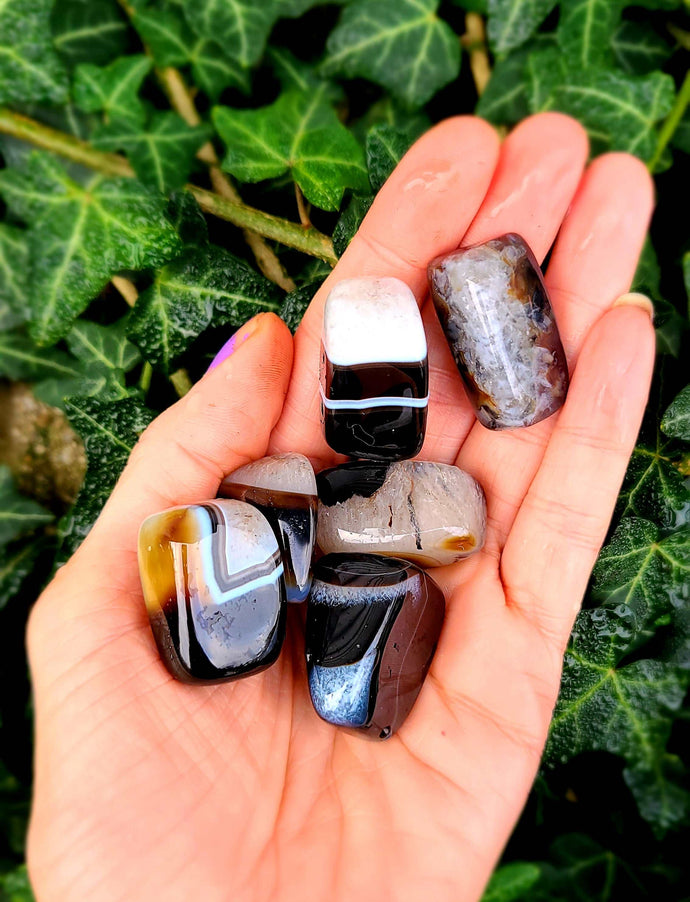 Stunning Botswana Agate to bring you luck🤍