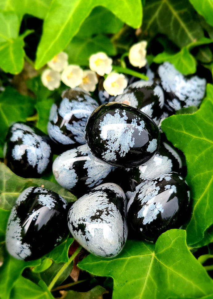 Soothing Snowflake Obsidian to help with stress.🖤❄