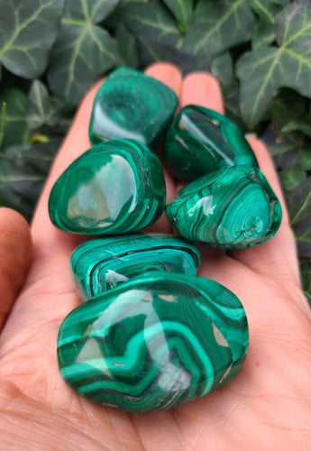 Gorgeous Polished Malachite to give you CLEAR thinking.💚💚