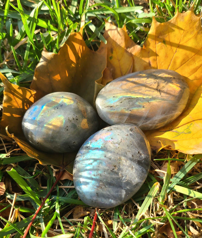 Sunset Labradorite (Gold and Orange Flash) Polished Palm stones to help you speak your truth✨