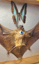 Load image into Gallery viewer, Real Bat and Butterfly framed art to help you let go of old energy.
