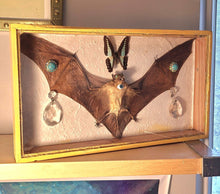 Load image into Gallery viewer, Real Bat and Butterfly framed art to help you let go of old energy.
