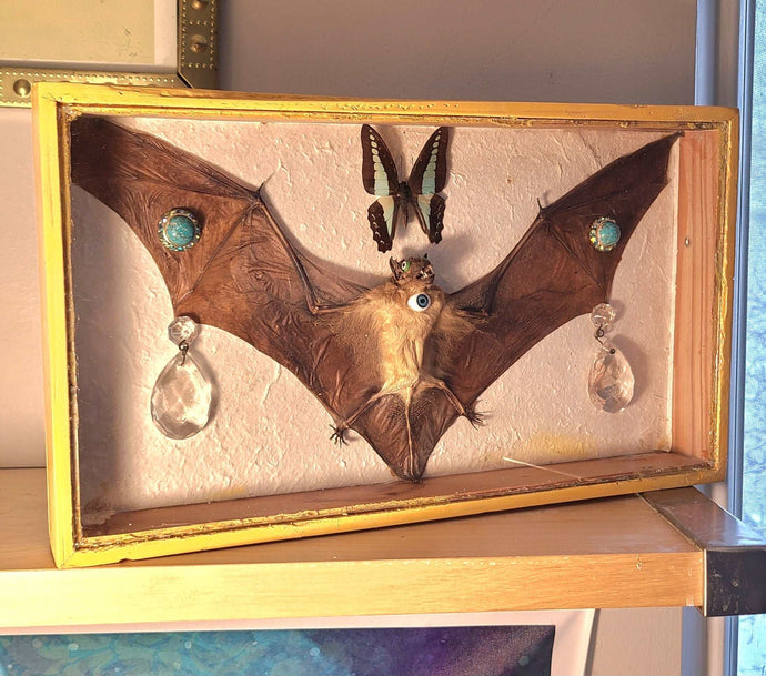 Real Bat and Butterfly framed art to help you let go of old energy.