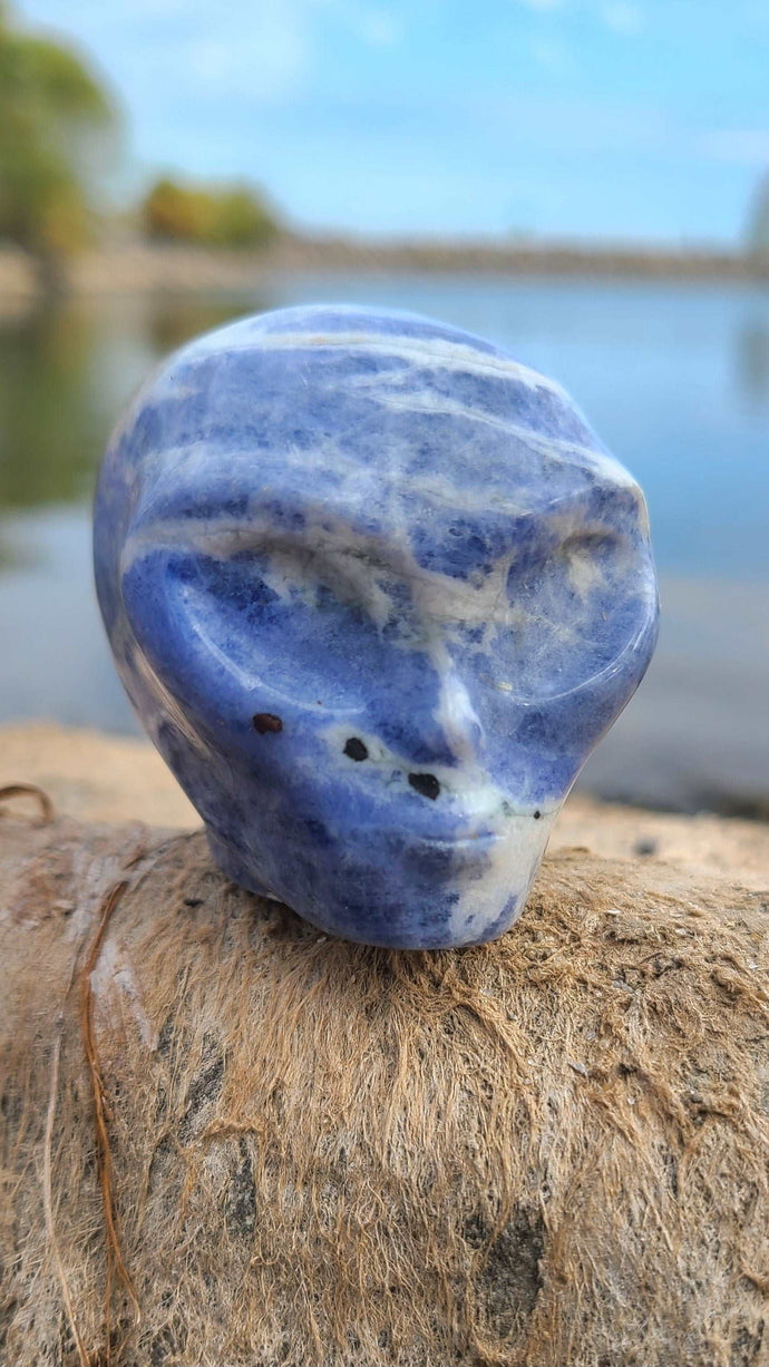 Unearthly carved Sodalite Alien to reduce worrying👽💙