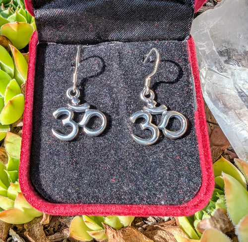 Silver Om symbol earrings on a black and red jewelry box with green plants in the background