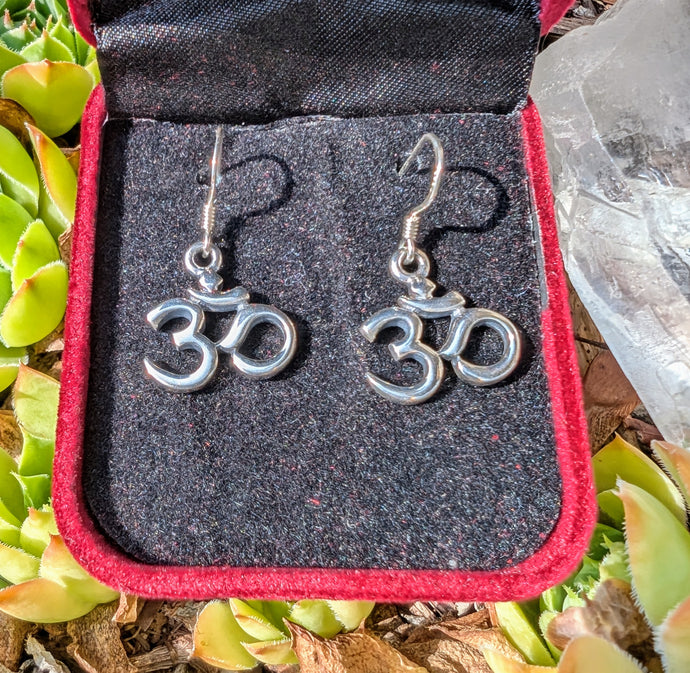 Silver Om symbol earrings on a black and red jewelry box with green plants in the background