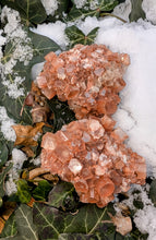 Load image into Gallery viewer, Aragonite Star cluster to help heal emotional wounds
