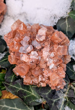 Load image into Gallery viewer, Aragonite Star cluster to help heal emotional wounds
