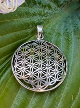 Load image into Gallery viewer, Sterling Silver Seed of Life Pendant
