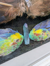 Load image into Gallery viewer, Sacred Wings &amp; Crystals – Handcrafted Shadow Box Art
