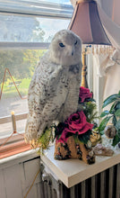 Load image into Gallery viewer, virgil ontario
