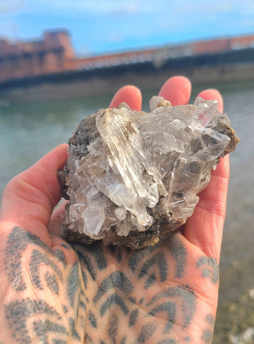 VERY RARE Selenite from the CAVE of Crystals in Mexico