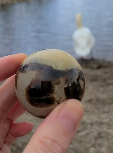 Strangely cool Septarian Spheres to help with bad dreams 💚🦎