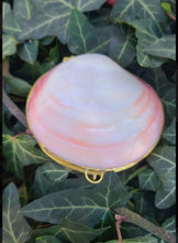 Load image into Gallery viewer, Real Seashell holder to store your crystal&#39;s or jewellery to raise your vibration. 🧜‍♀️🧜‍♂️🧜‍♀️🧜‍♂️
